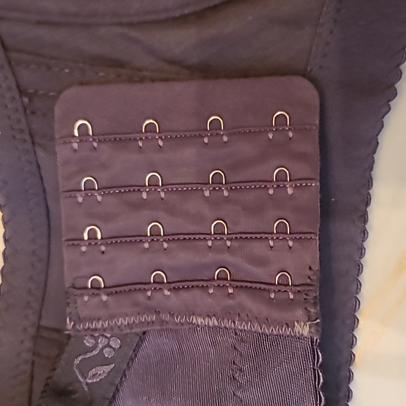 Three Love Bird Bras. 36DD. Muse full cup lace bra - Picture 5 of 6